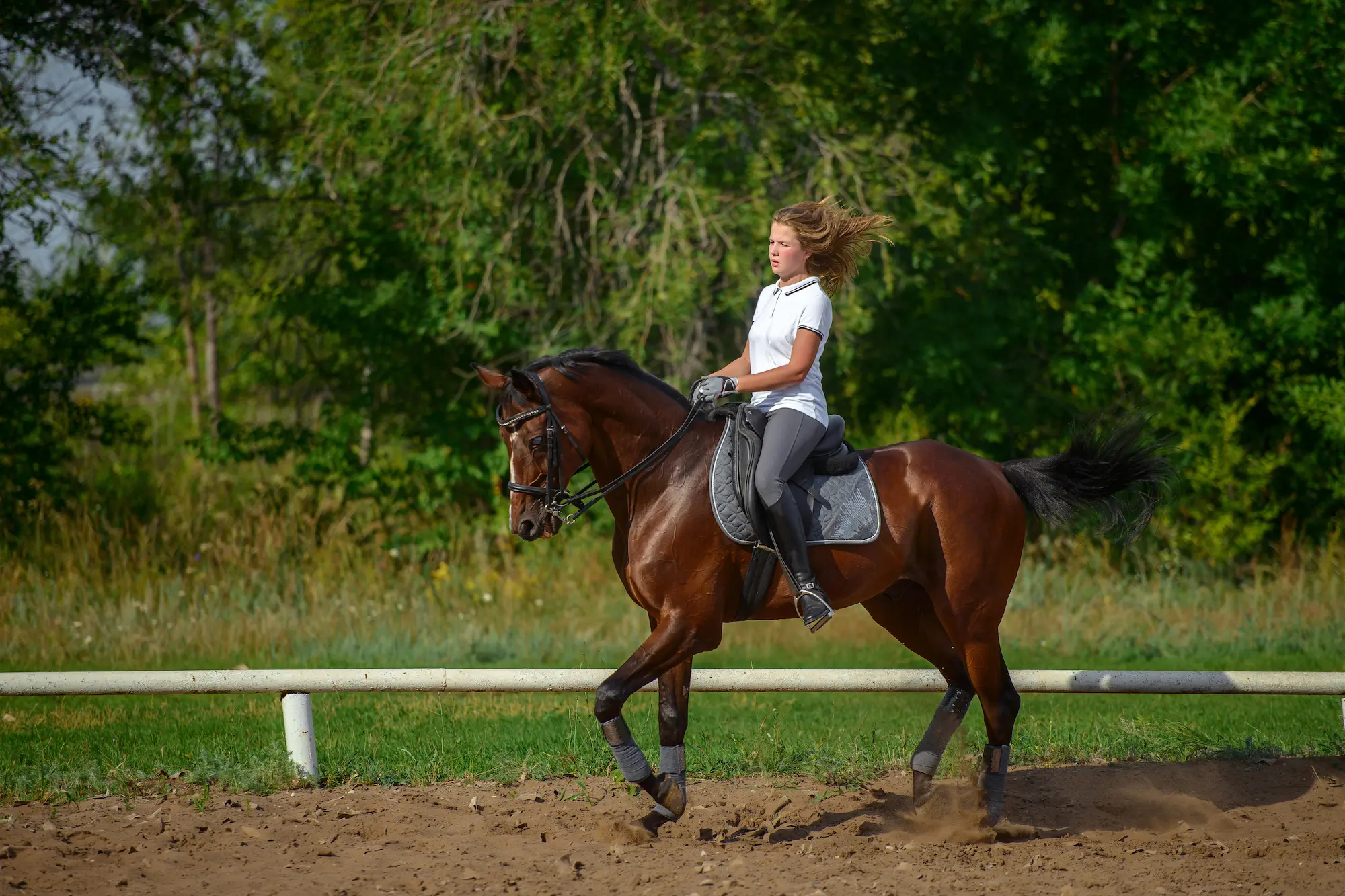 Lovaglás & Sport